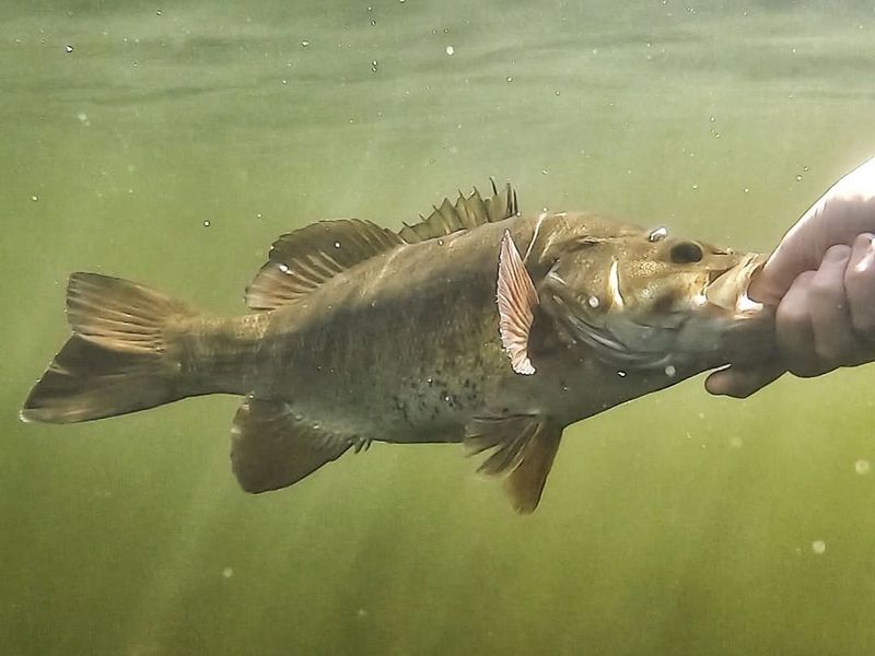 Local Legends And Fishing Tales