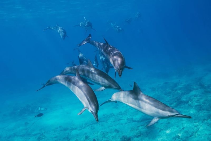 Azores, Portugal