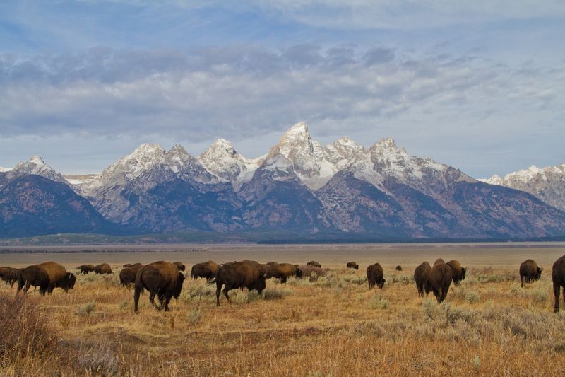 Wyoming