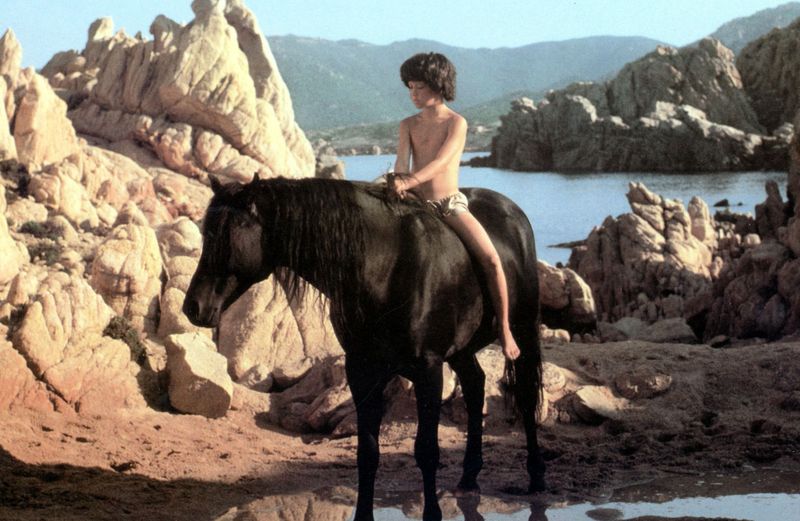 Thunderhead – The Black Stallion