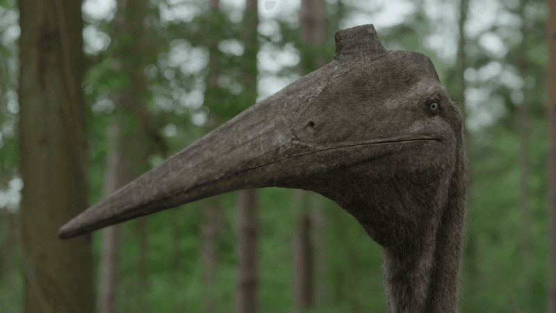 Quetzalcoatlus