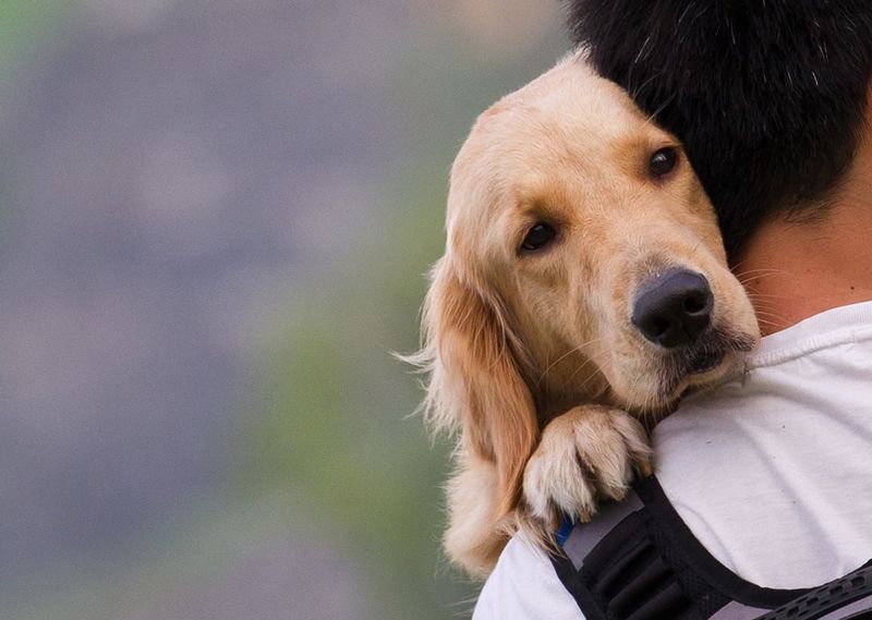 True Love Is Unconditional