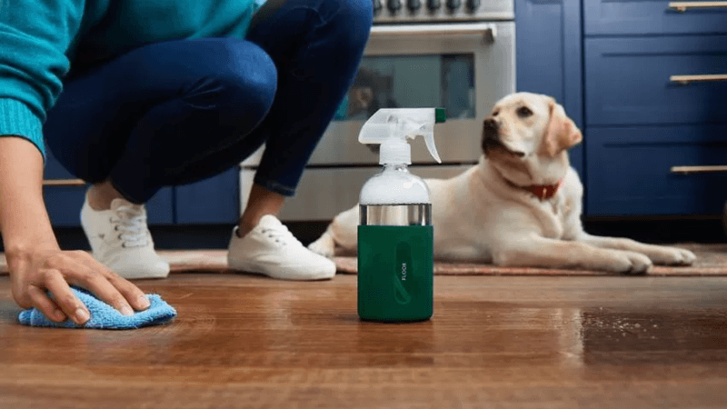 Pet Odor Absorbing Gel