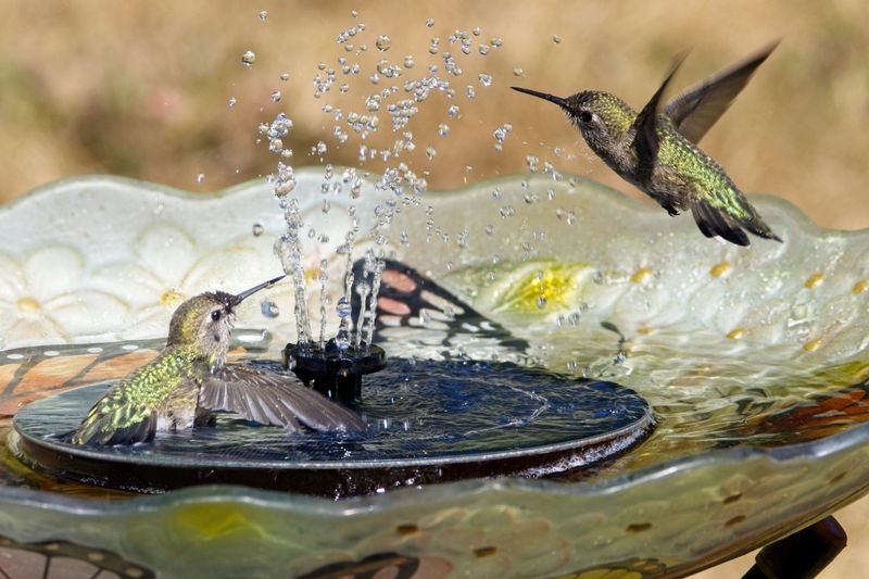 Beside The Water Feature