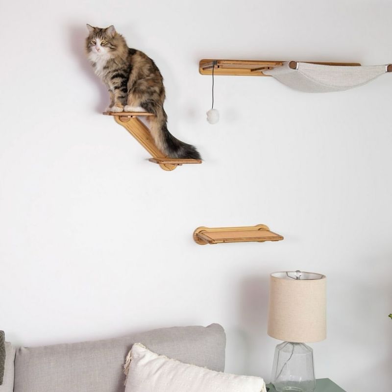 Vertical Spaces For Cats