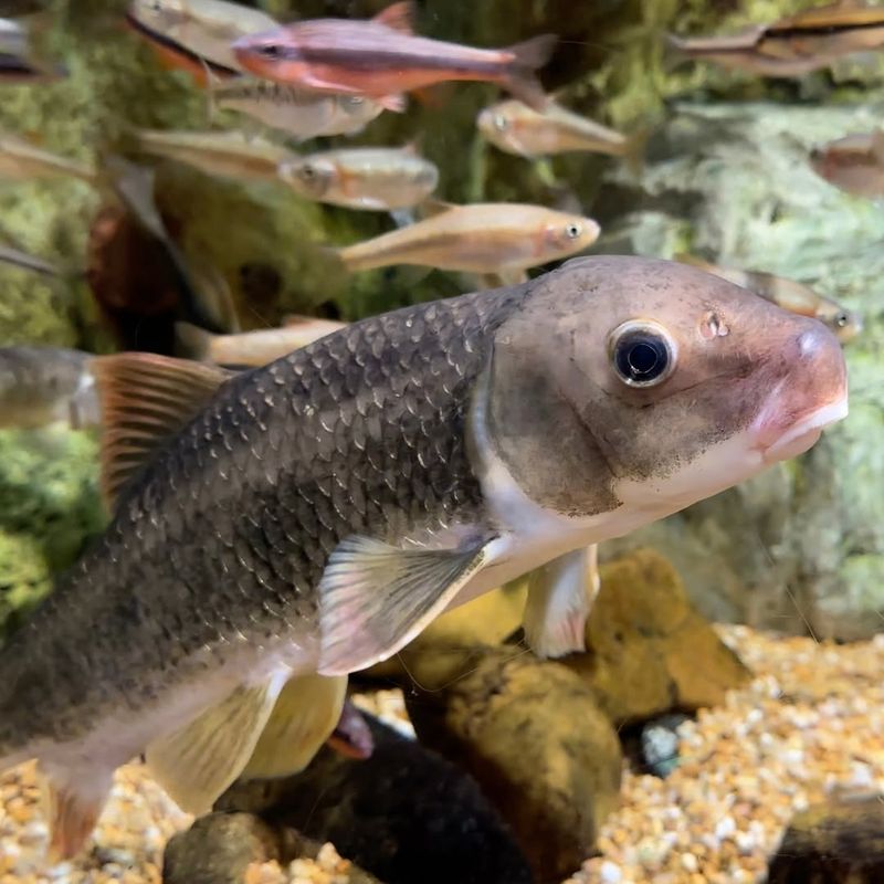 South Carolina Aquarium