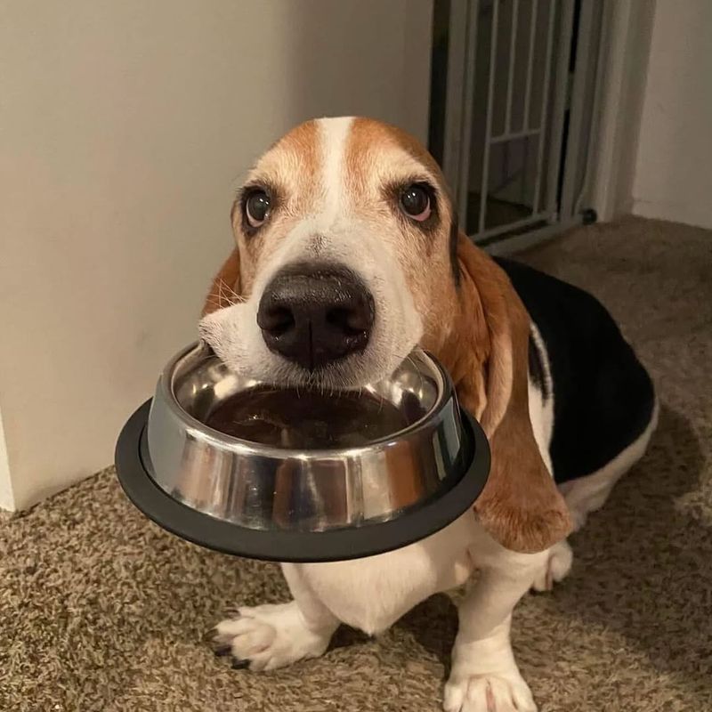 Weather-Related Appetite Changes
