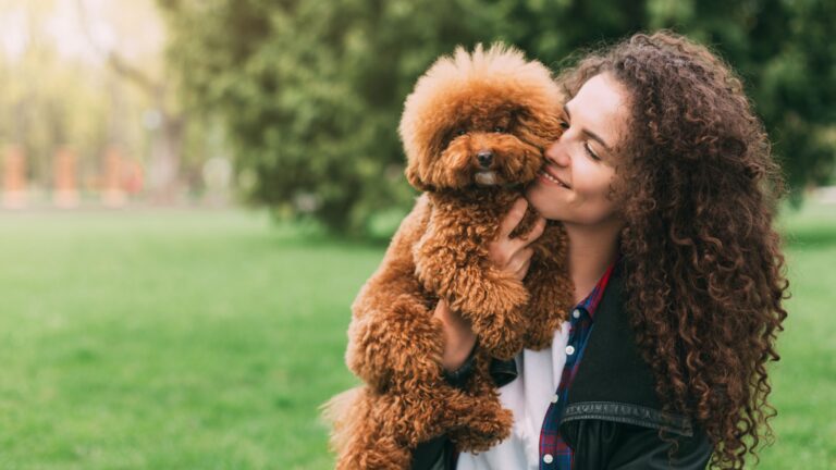 What Having One Of These 12 Dog Breeds Says About You