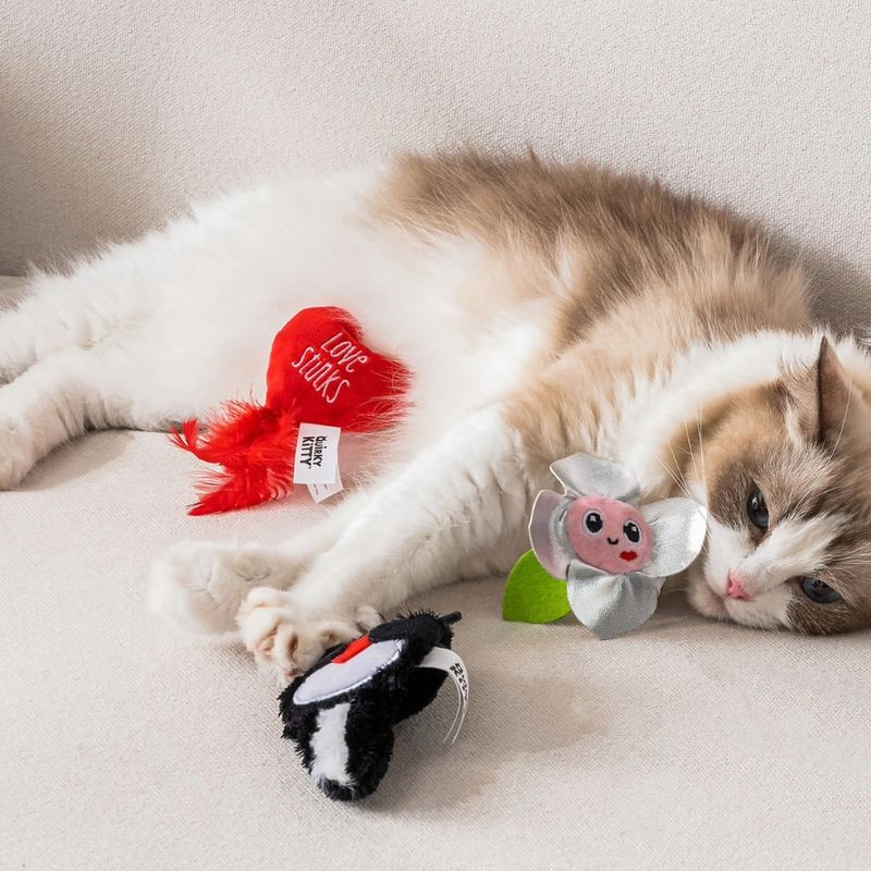 Cat Toys