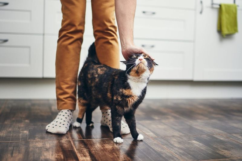 Your Presence Means Playtime