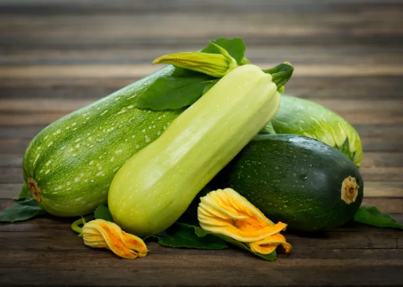 Zucchini