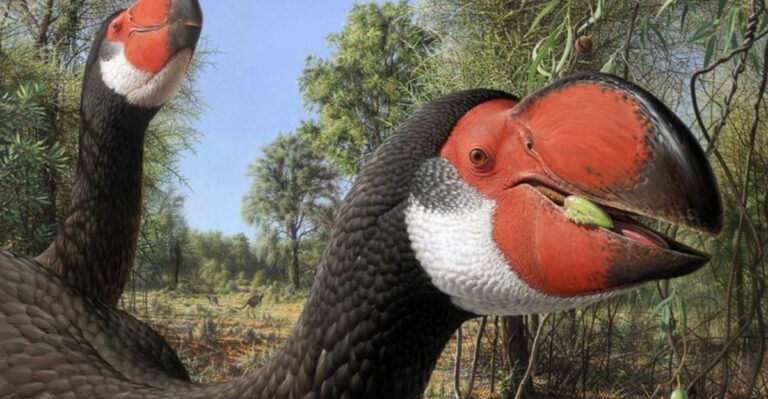 10 Ancient Birds That Were Bigger, Bolder, And A Lot Scarier