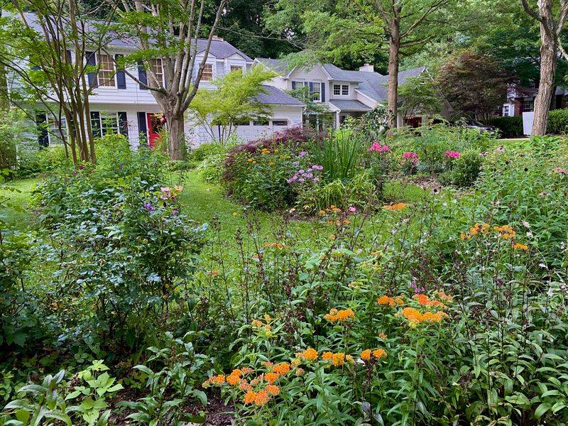 Lush Vegetation