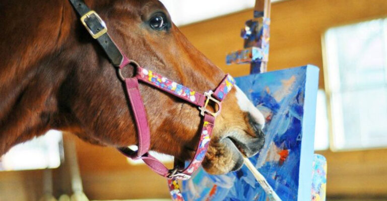 11 Tips To Keep Your Horse Entertained In The Stable