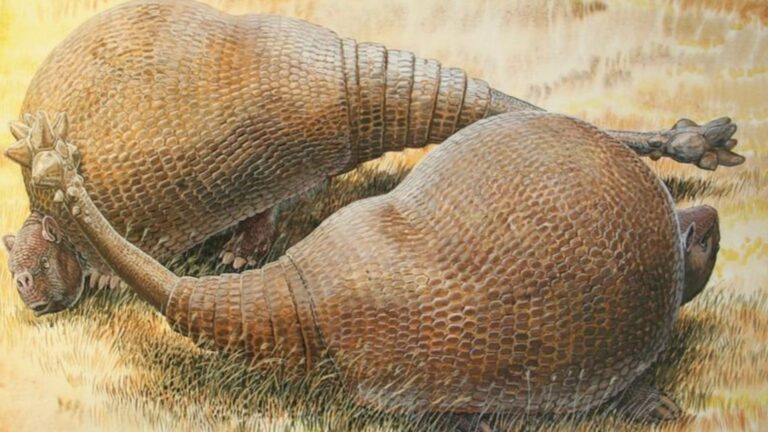 13 Prehistoric Beasts From North America’s Ice Age
