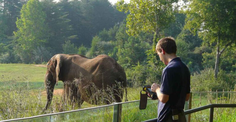 13 Ways Zoos Are Helping Bring Animals Back To The Wild