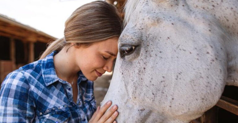 15 Affectionate Ways A Horse Shows It Loves You