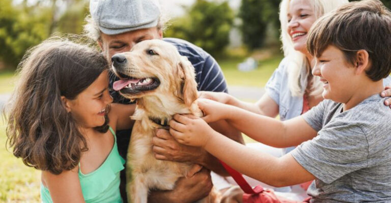 15 Dog Breeds That Bring Joy To Every Generation