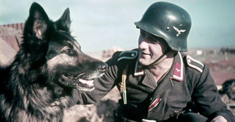 15 Dog Breeds That Helped Raise The Greatest Generation