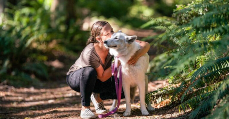 15 Positive Ways To Calm An Aggressive Dog And Regain Control