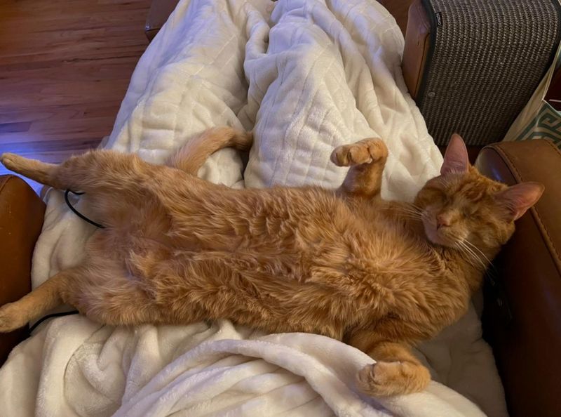 Belly Exposure Exclusively For You