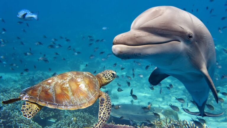 15 Surprising Similarities Between Reptiles And Mammals