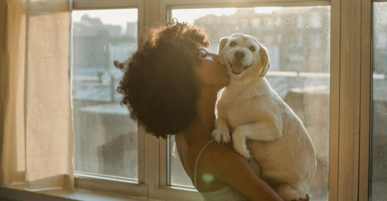 15 Things Only Dog Moms Truly Understand