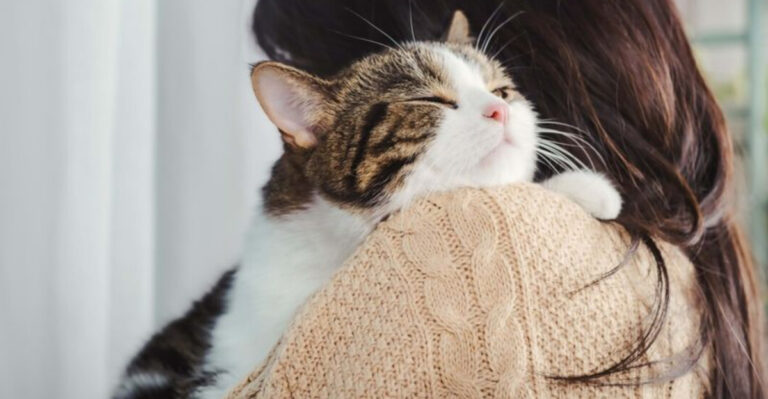 15 Ways Cats Prepare For The End