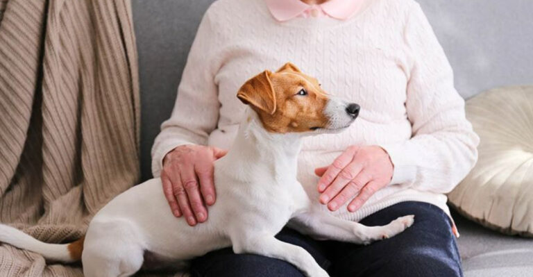 15 Ways Dogs Step Up As Caretakers For Their Elderly Humans