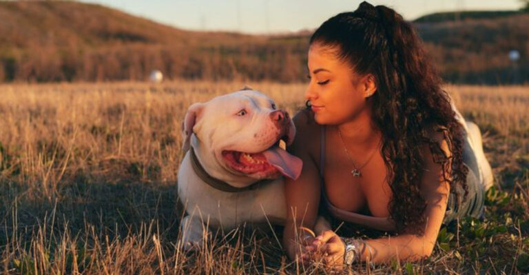 15 Ways To Bond With An American Pitbull