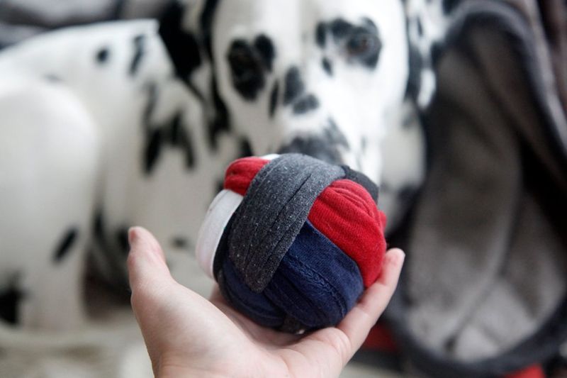 DIY Pet Toys