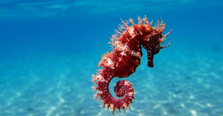 16 Animal Names That Are Totally Misleading (And What They Really Are)