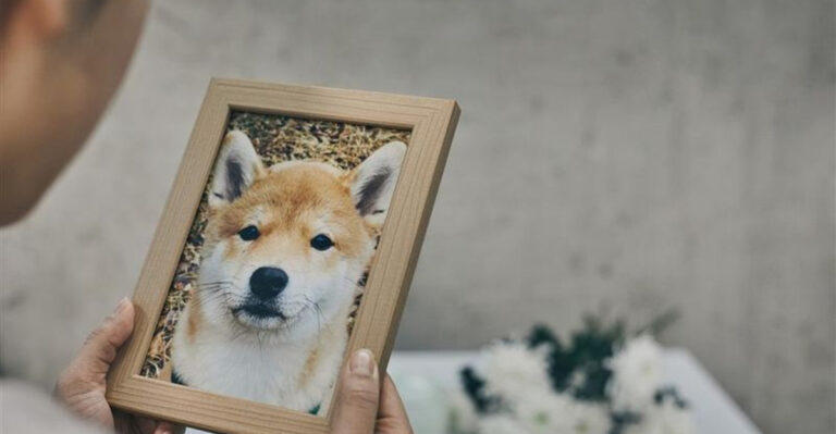 16 Important Steps To Take If Your Dog Passes Away At Home