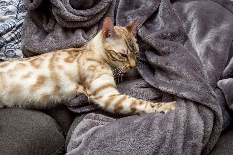 Kneading