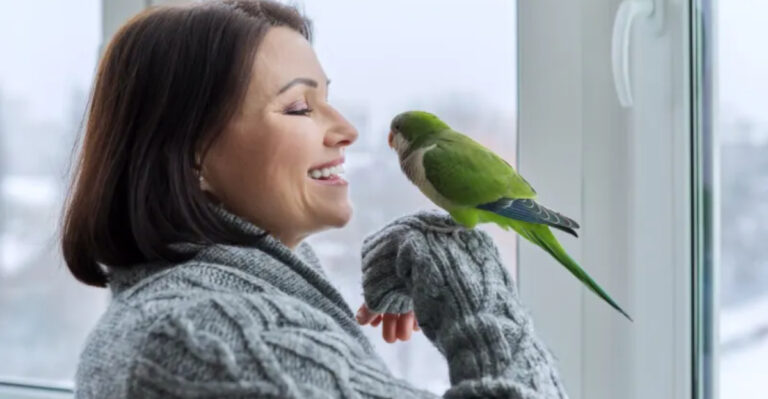 16 Reasons Why Parrots Are Incredible Companions