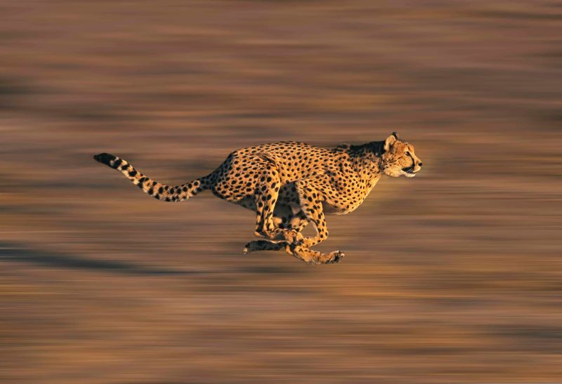 Aerodynamic Body Shape