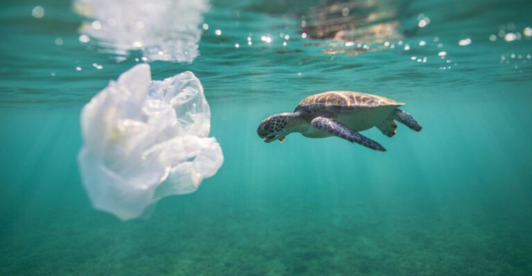 16 Sad Animal Facts That Will Break Your Heart