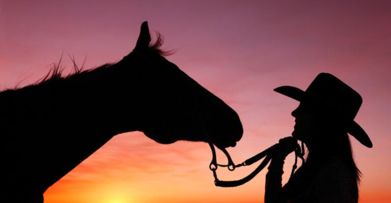 16 Tips And Tricks For Overcoming Your Fear Of Horses