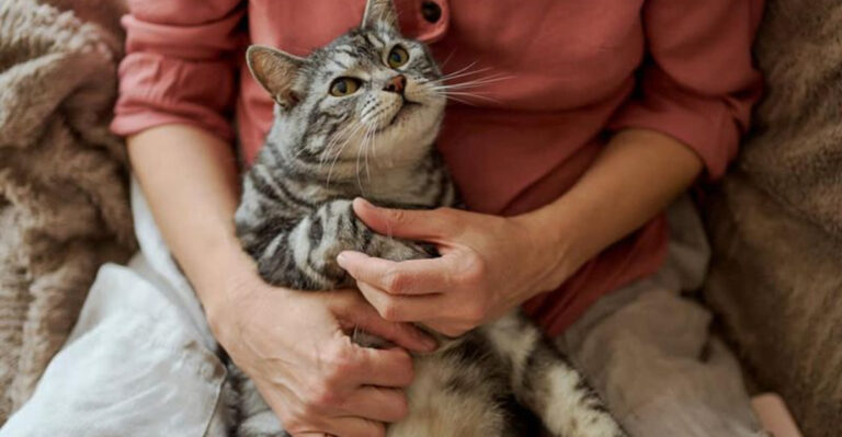 17 Everyday Habits That Could Make Your Cat Love You Even More