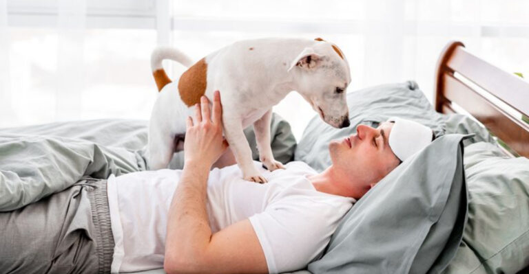 17 Hard Truths Lazy People Should Know Before Getting A Dog