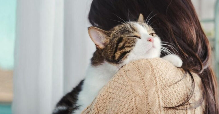 17 Signs Your Cat Sees You As Their Mom