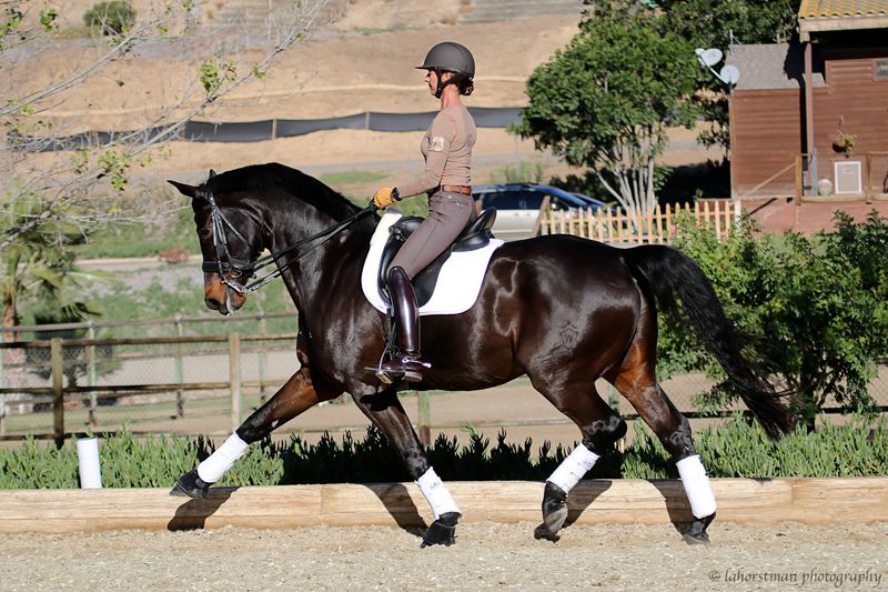 Riding Is Just Sitting There