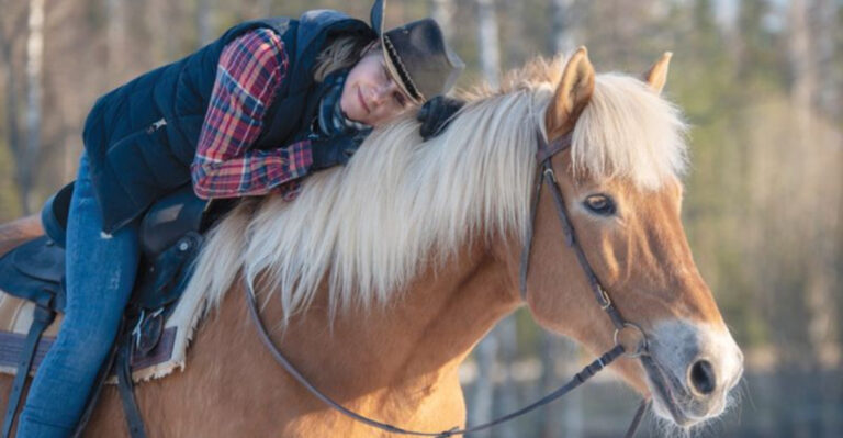 19 Myths About Horse Riding That Need Debunking