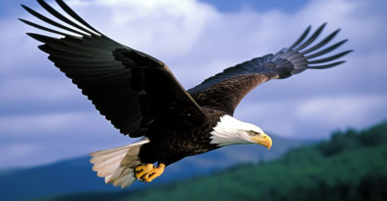 19 Remarkable Animals Overcoming The Threat Of Extinction