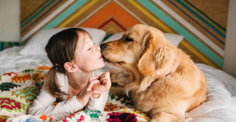 20 Reasons Animal Lovers Are More Compassionate Than Most