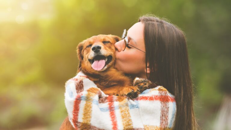 23 Ways Dogs Prove They’re Better Than Humans