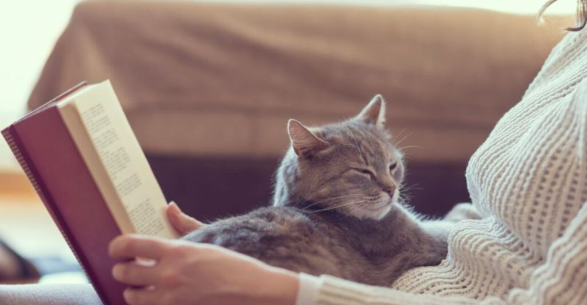 7 Ways Cats Improve Your Mind & 7 Ways They Get On Your Nerves