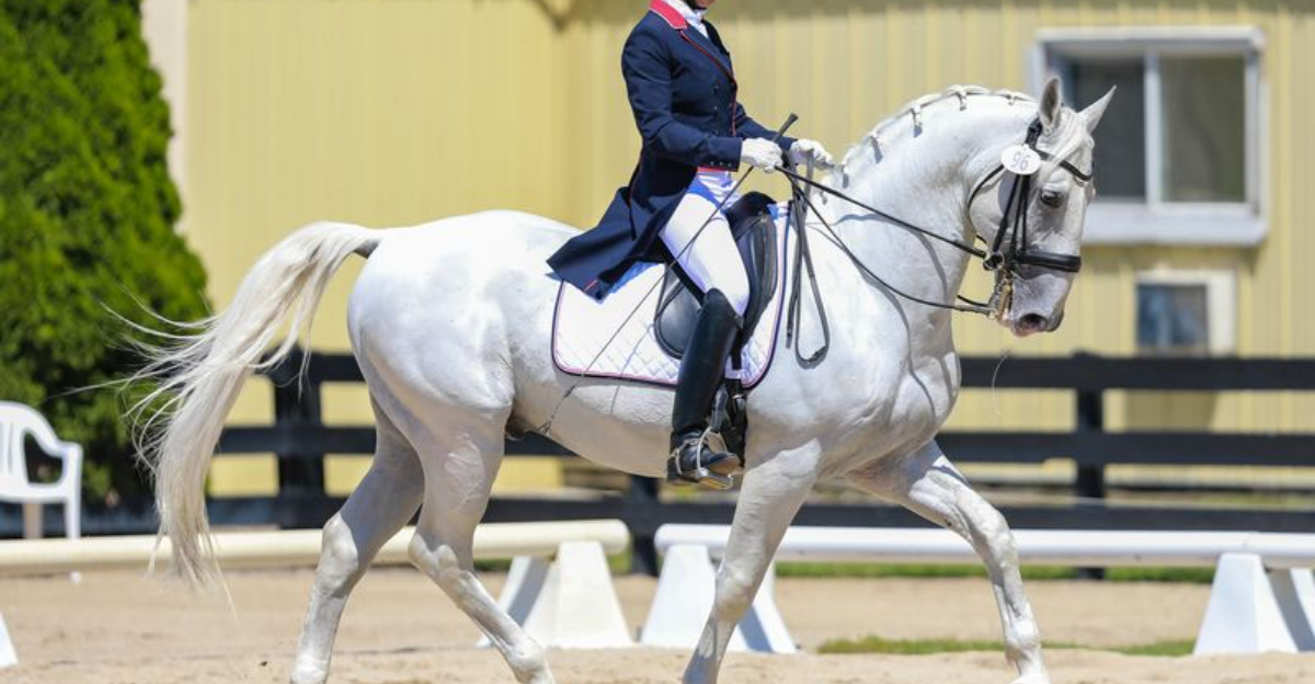 9 Horses That Shine In Shows (And 9 That Are Born For Farms)