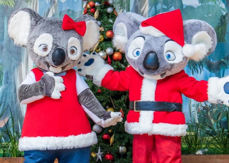 Koala Costume Parades