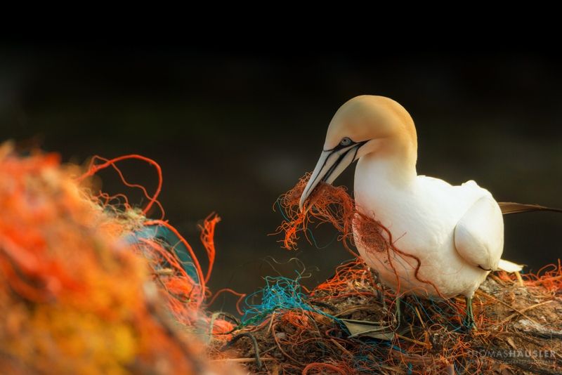 Reduce Plastic Pollution
